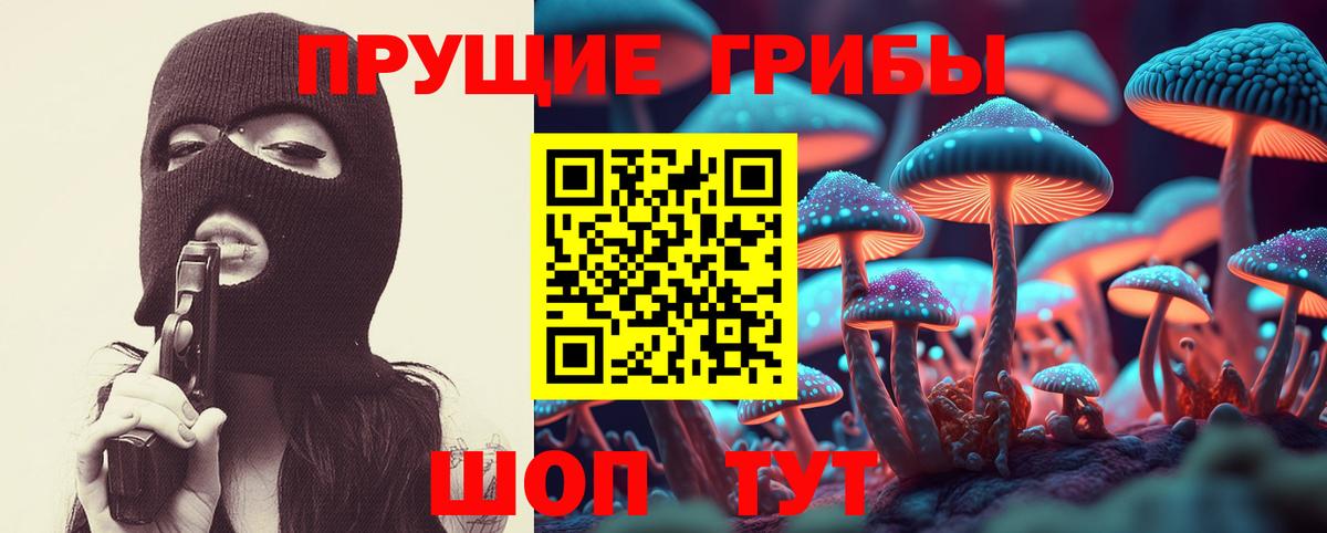 Псилоцибиновые грибы мухоморы  Вход с VPN  Владикавказ  Галлюциногенные грибы Psilocybe 